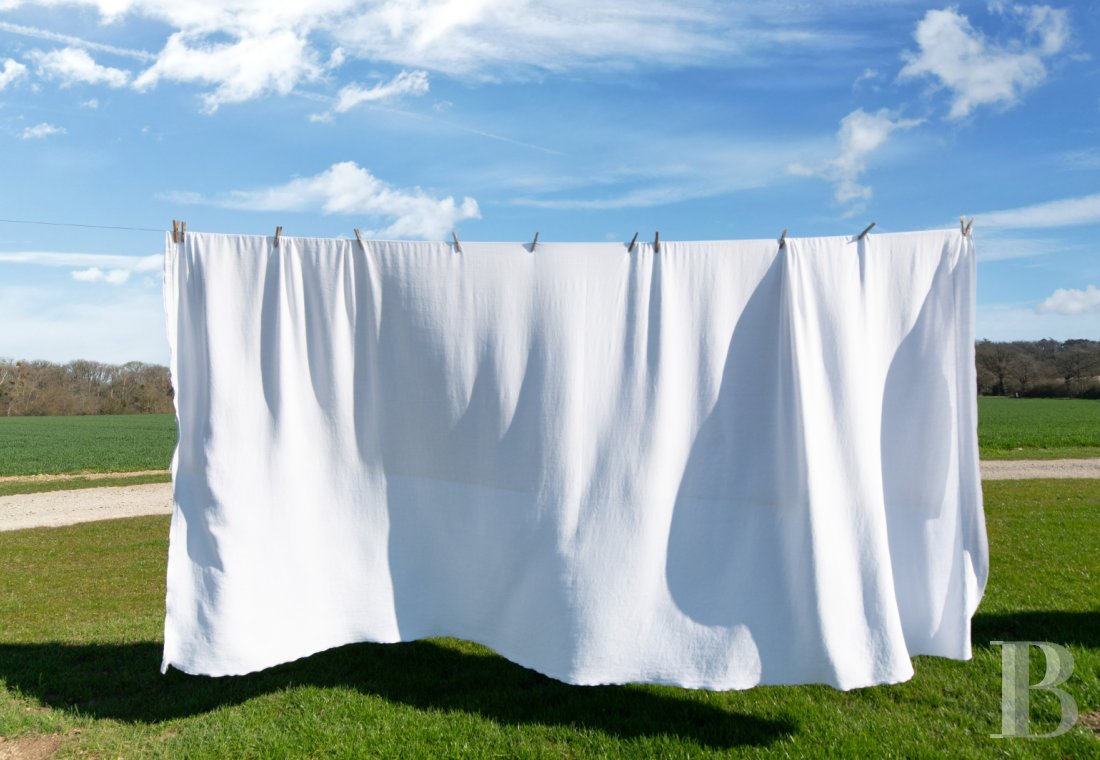 En Mayenne, au sud de Laval, un ancien établissement de blanchissage dans un domaine de 180 hectares - photo  n°22